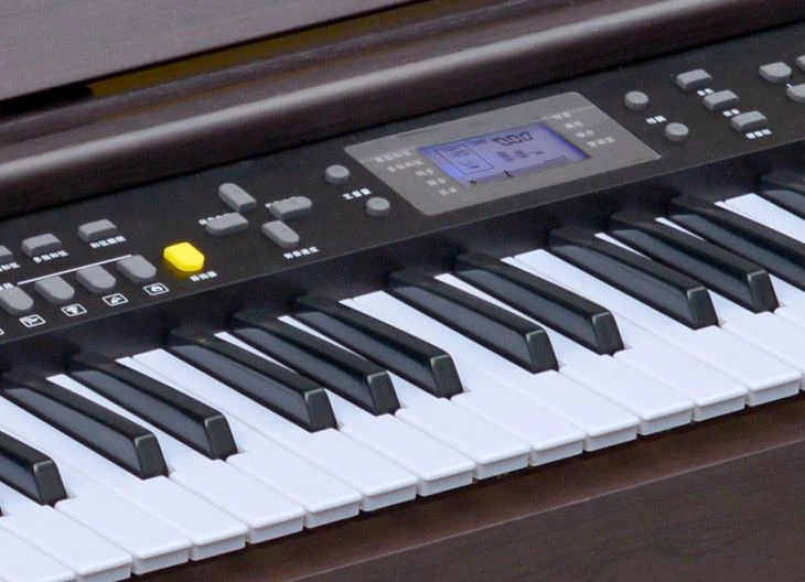61 Keys Standard Keyboard LCD Display
