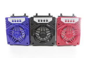 Altaveu Bluetooth sense fil al'aire lliure