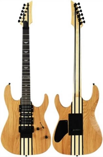 Preu d'elecció avançada de guitarra elèctrica