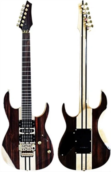 Moda, rendiment d'alt cost, bona qualitat de so de guitarra elèctrica professional